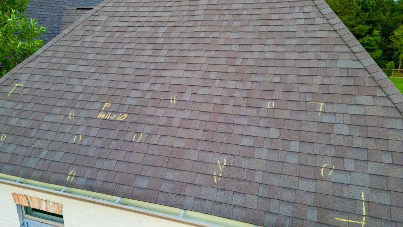 Asphalt Roof Inspection in Port Elizabeth, NJ