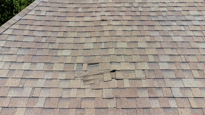 Asphalt Roof Inspection in Stone Harbor, NJ