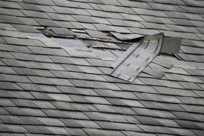 Asphalt Roof Leak Repair in Cape May Court House, NJ