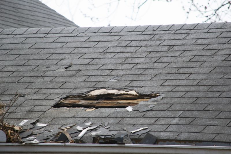 Asphalt Roof Leak Repair in Cape May, NJ
