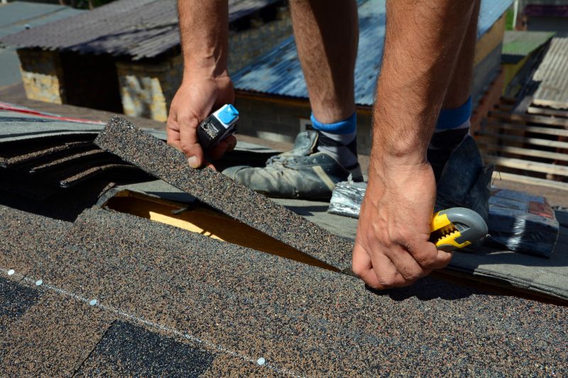 Asphalt Roof Repair in Cape May County, NJ