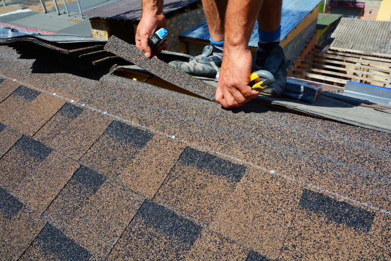 Asphalt Roof Repair in Cape May County, NJ