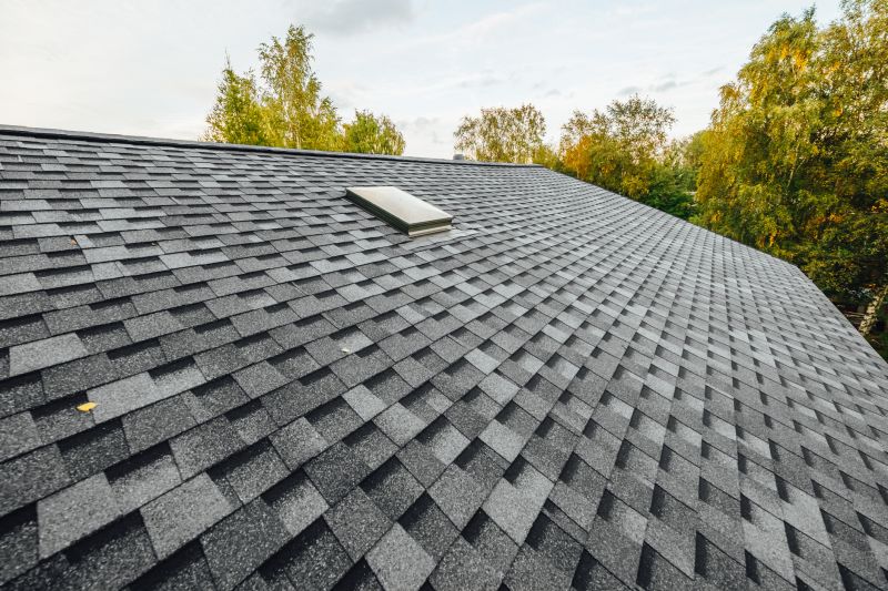 Asphalt Roof Replacement in Villas, NJ