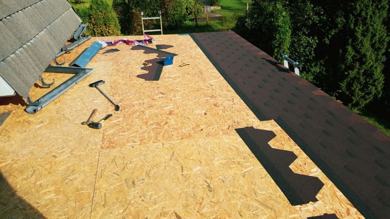 Asphalt Shingles Installation in Dewey Beach, DE