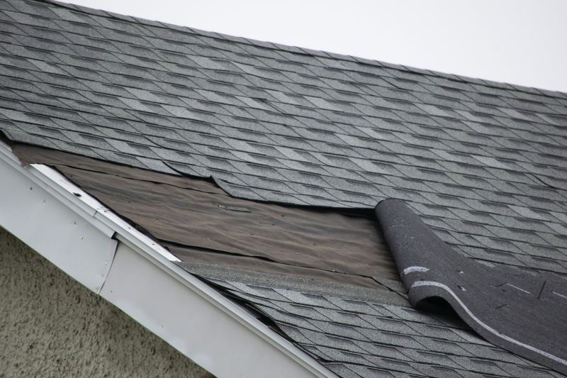Asphalt Shingles Repair in Lewes, DE