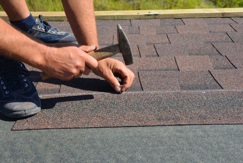Asphalt Shingles Repair in Port Elizabeth, NJ