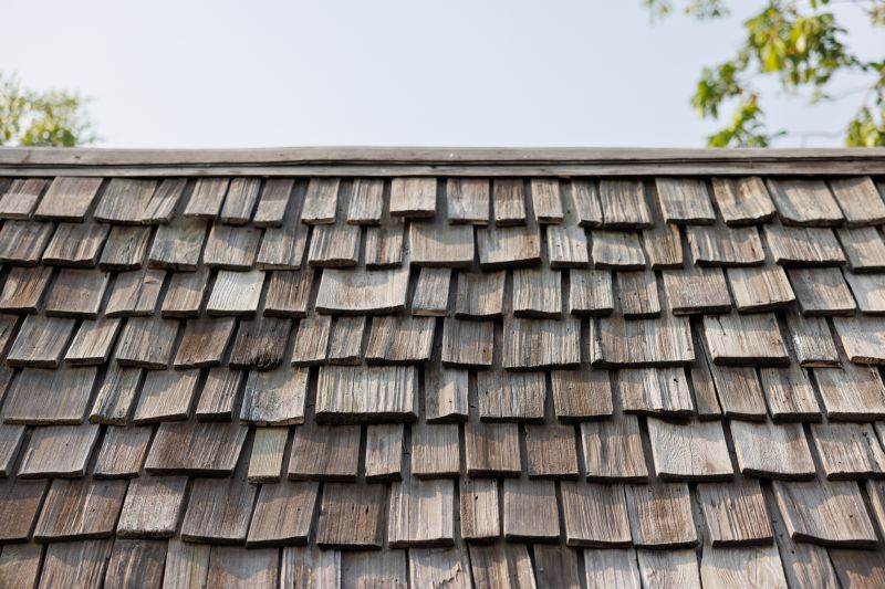 Cedar Shake Roof Repair in Lewes, DE