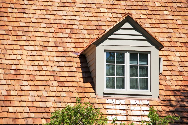 Cedar Shake Roof Repair in Port Elizabeth, NJ