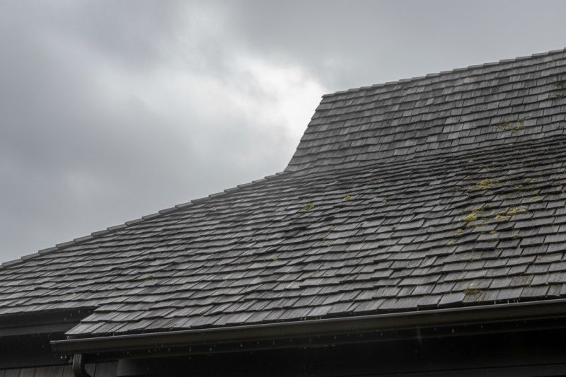 Cedar Shingles Replacement in Lewes, DE
