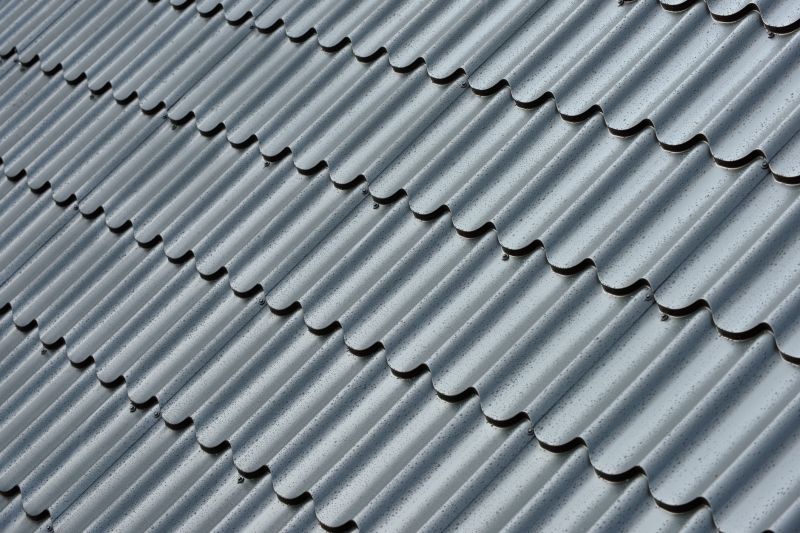 Corrugated Roof Repair in Cape May Court House, NJ