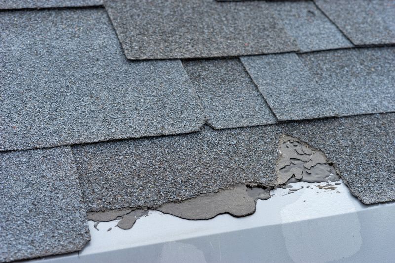Damaged Roof Repair in Avalon, NJ