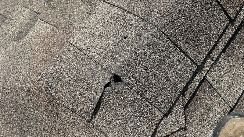 Damaged Roof Repair in Lewes, DE