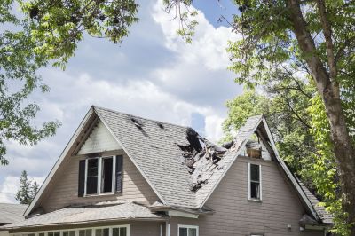 Damaged Roof Replacement in Port Elizabeth, NJ