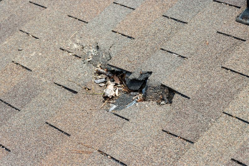 Damaged Roof Replacement in Sea Isle City, NJ
