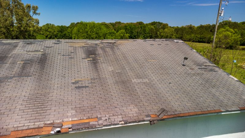 Hail Damage Roof Repair in Port Elizabeth, NJ