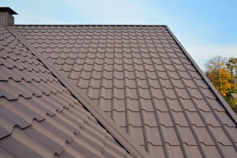 Metal Roof Installation in Milton, DE