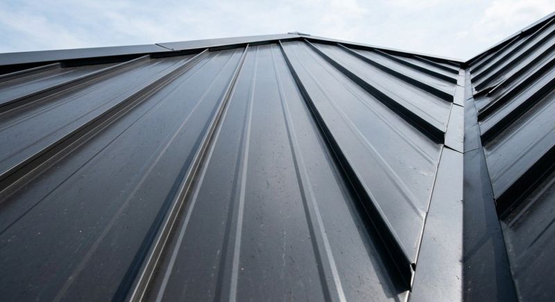 Roof Panel Repair in Cape May, NJ