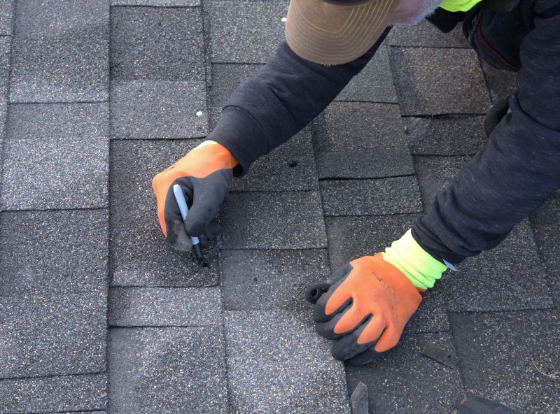 Shingles Repair in Port Elizabeth, NJ