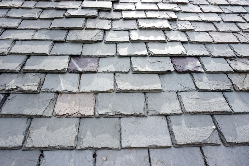 Slate Shingles Repair in Dewey Beach, DE
