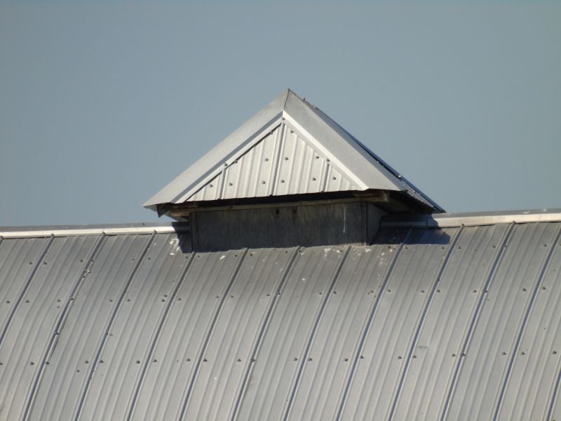 Tin Roof Installation in Avalon, NJ