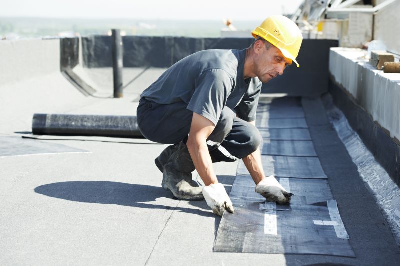 Tpo Roof Repair in Lewes, DE