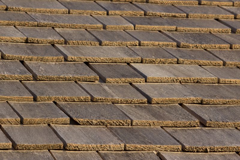 Wood Shake Roof Repair in Milton, DE