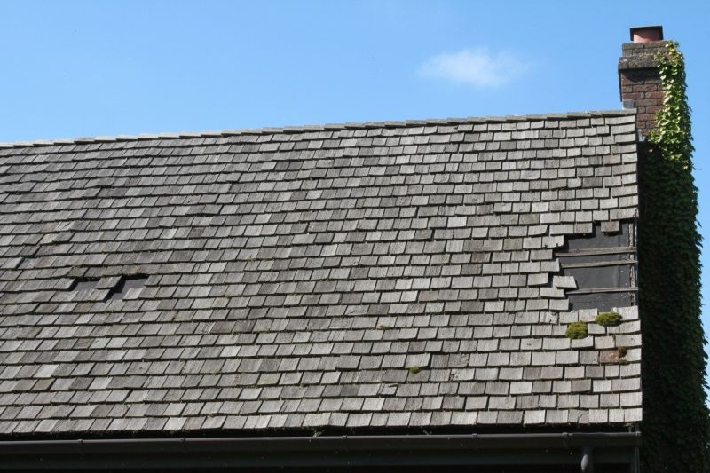 Wood Shake Roof Replacement in Port Elizabeth, NJ